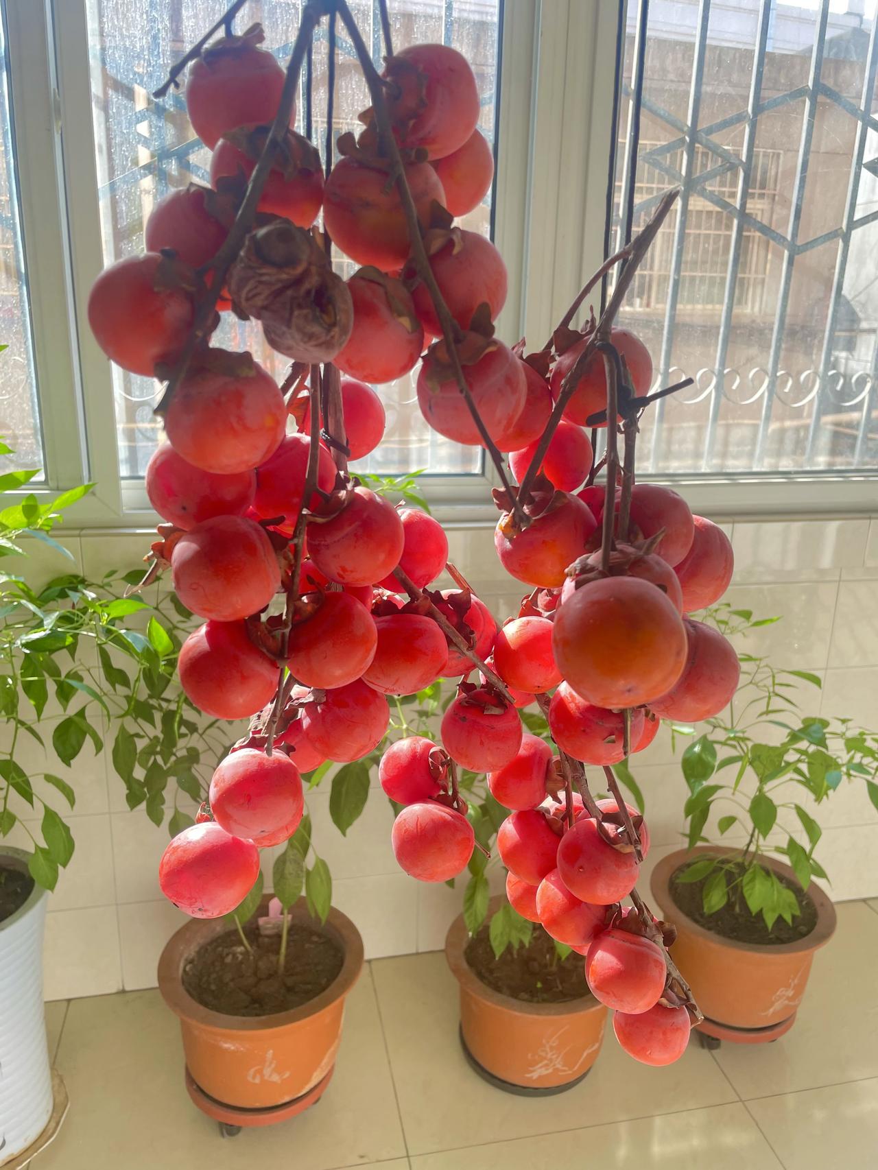 为什么没有人发明“家庭用品定位贴”呢？今天晚上，我想剪一下指甲，但怎么也找不到指