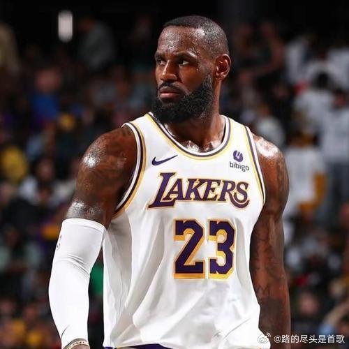 《詹姆斯犯规后为何不摊手？这下意识举动撕开联盟遮羞布》一个250磅的重型装甲在低