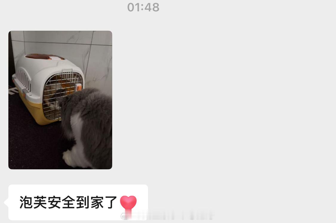 不行了 刚把铁蛋送去洗澡各种忙碌终于闲下来了 必须记录一下昨天发生了什么！我和小
