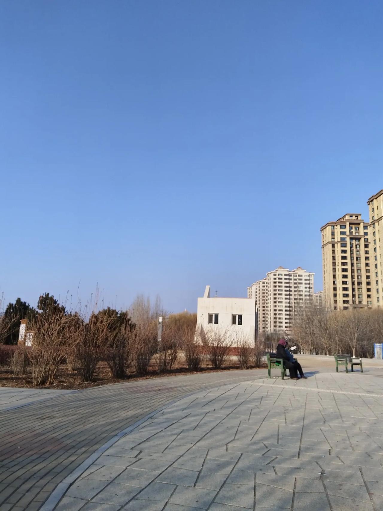 乘风吾子，吾子乘风。
我把列子换成我，能御风而行。
   2025.1.24