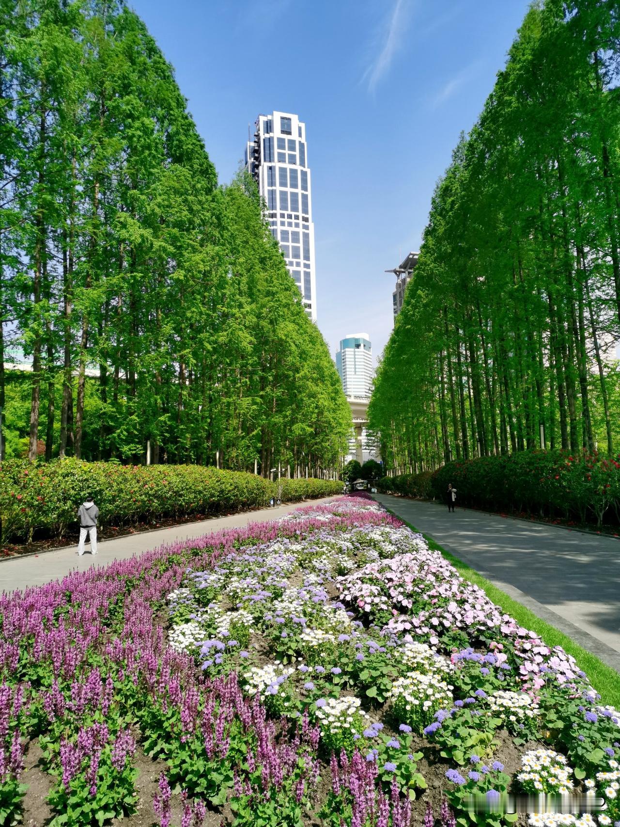 备忘录：
“海上花开、马上精彩”！
上海国际花卉节明天就开始了，我整理点基本信息