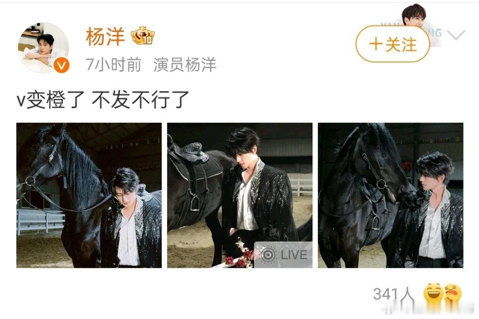 七个小时过去了，还没变成金V？羊毛不给力呀 