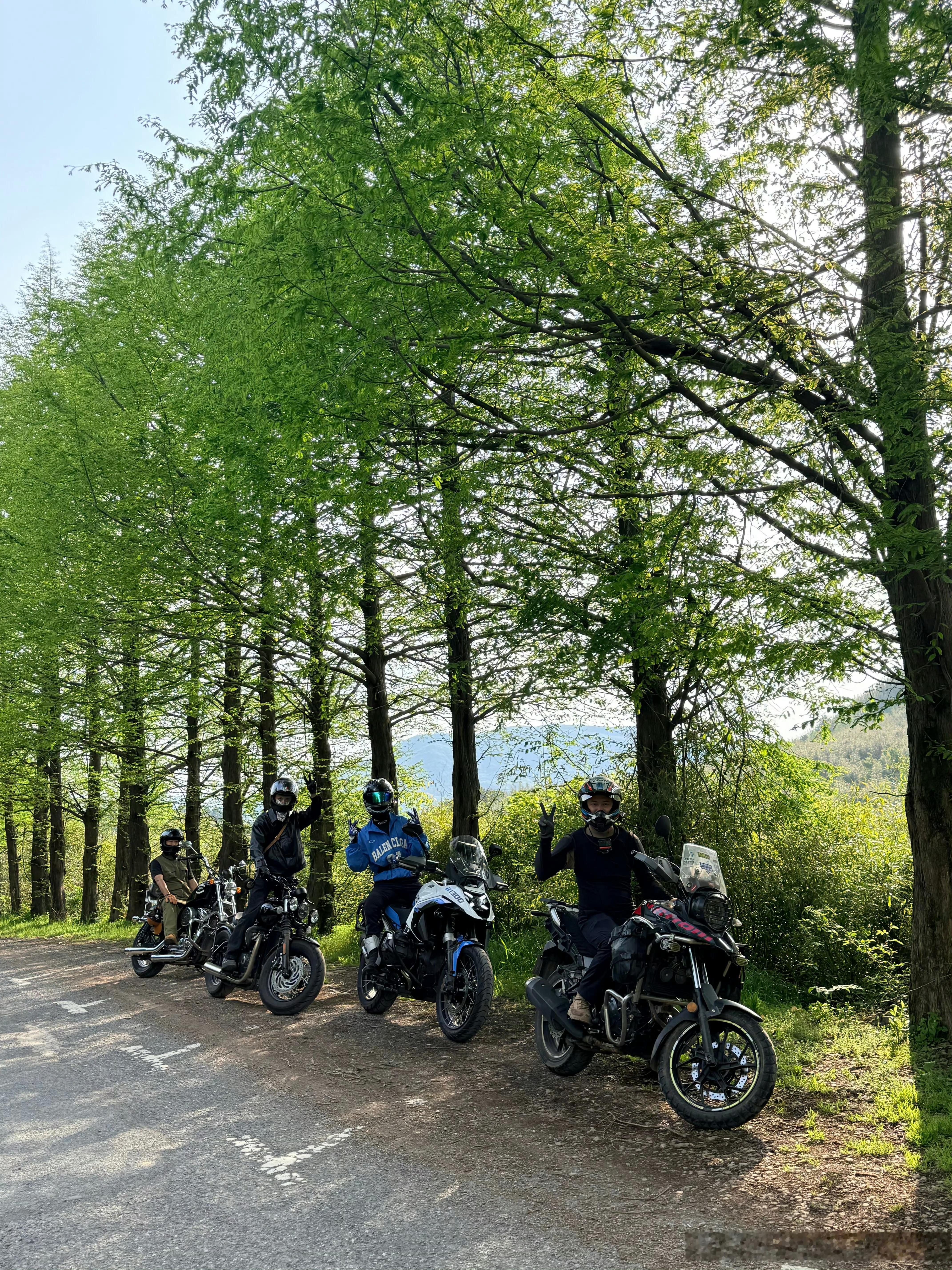 何与营业，骑行去咯，走的哪条线？318吗