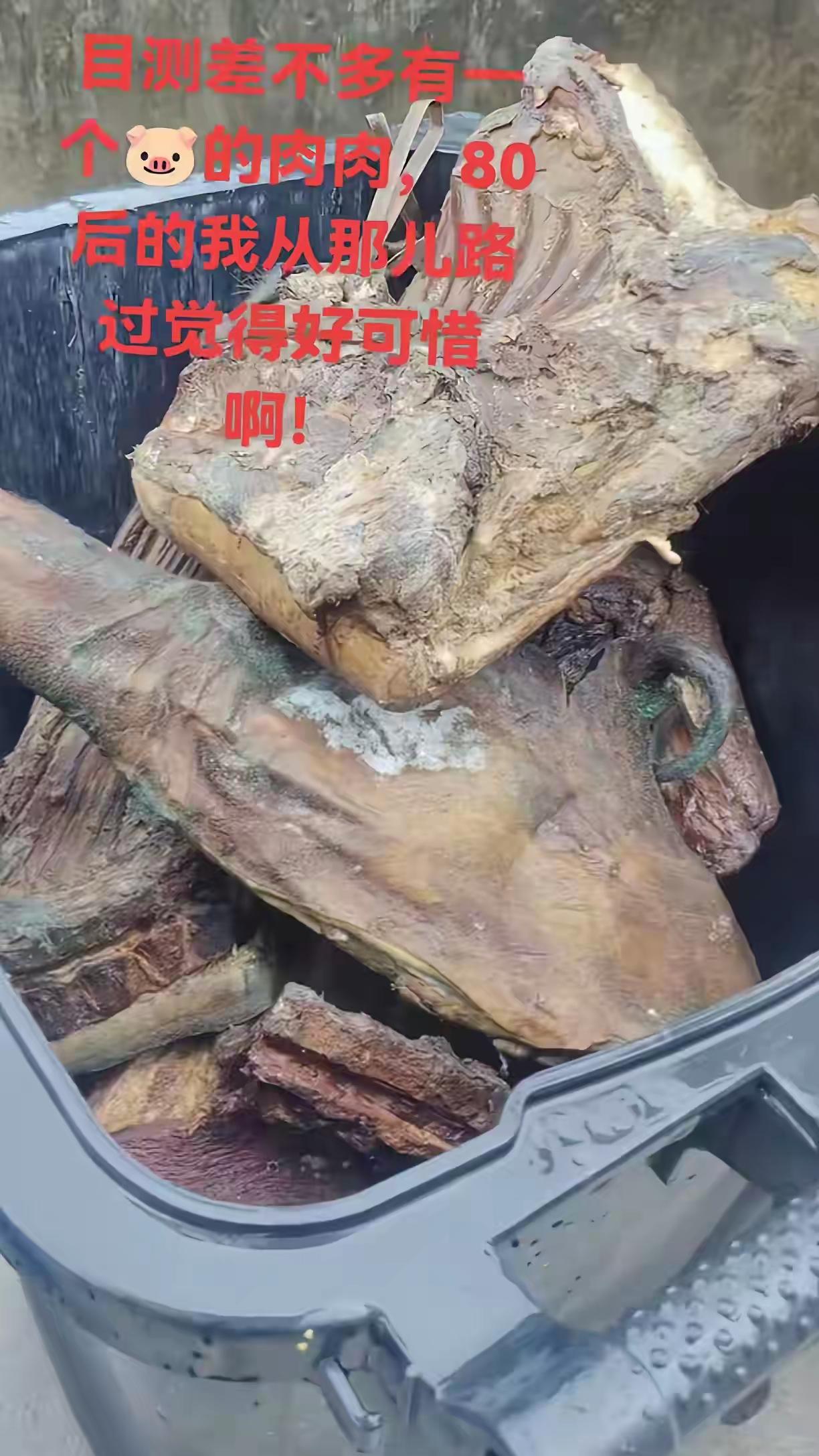 网友:
好可惜！这不知又是谁的一片好心就这样无情的给丢弃了！[捂脸]