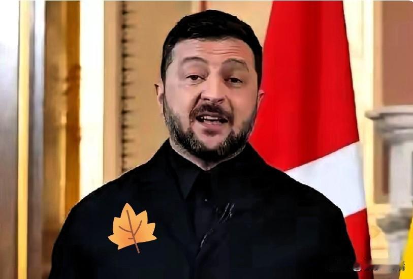 乌克兰内部分裂！

前总理公开批评！

乌克兰总统泽连斯基1月30日表示，绝不妥