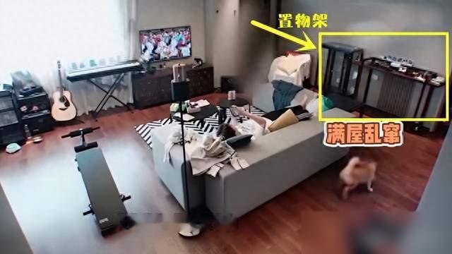 23岁范丞丞的北京豪宅“火了”：全屋简约精致，但吃饭全靠点外卖