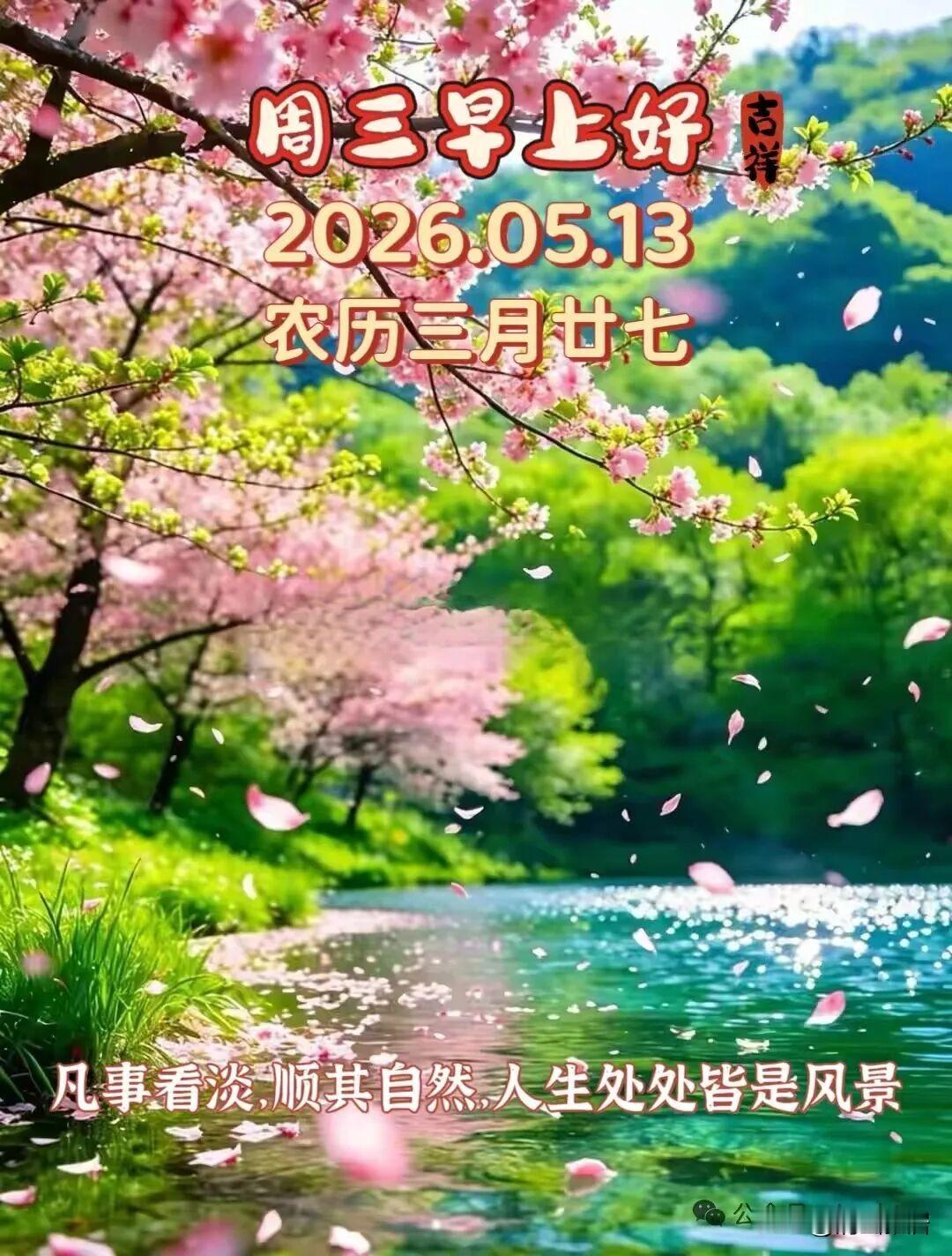 我们国家稳如泰山，做好自己的事，成为各国争相合作对象，这不，普京、特朗普都要来我