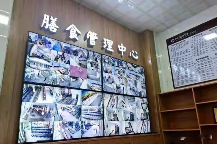 学校餐饮供应“臭虾仁炒鸡蛋”等变质午餐，引发家长震怒。审计报告显示，农村营养改善
