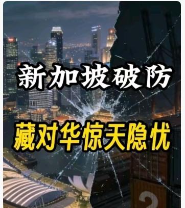 新加坡上当了，安全靠美国，经济靠中国。跟着美国后面跑确没捞到好处，经济长期赚中国