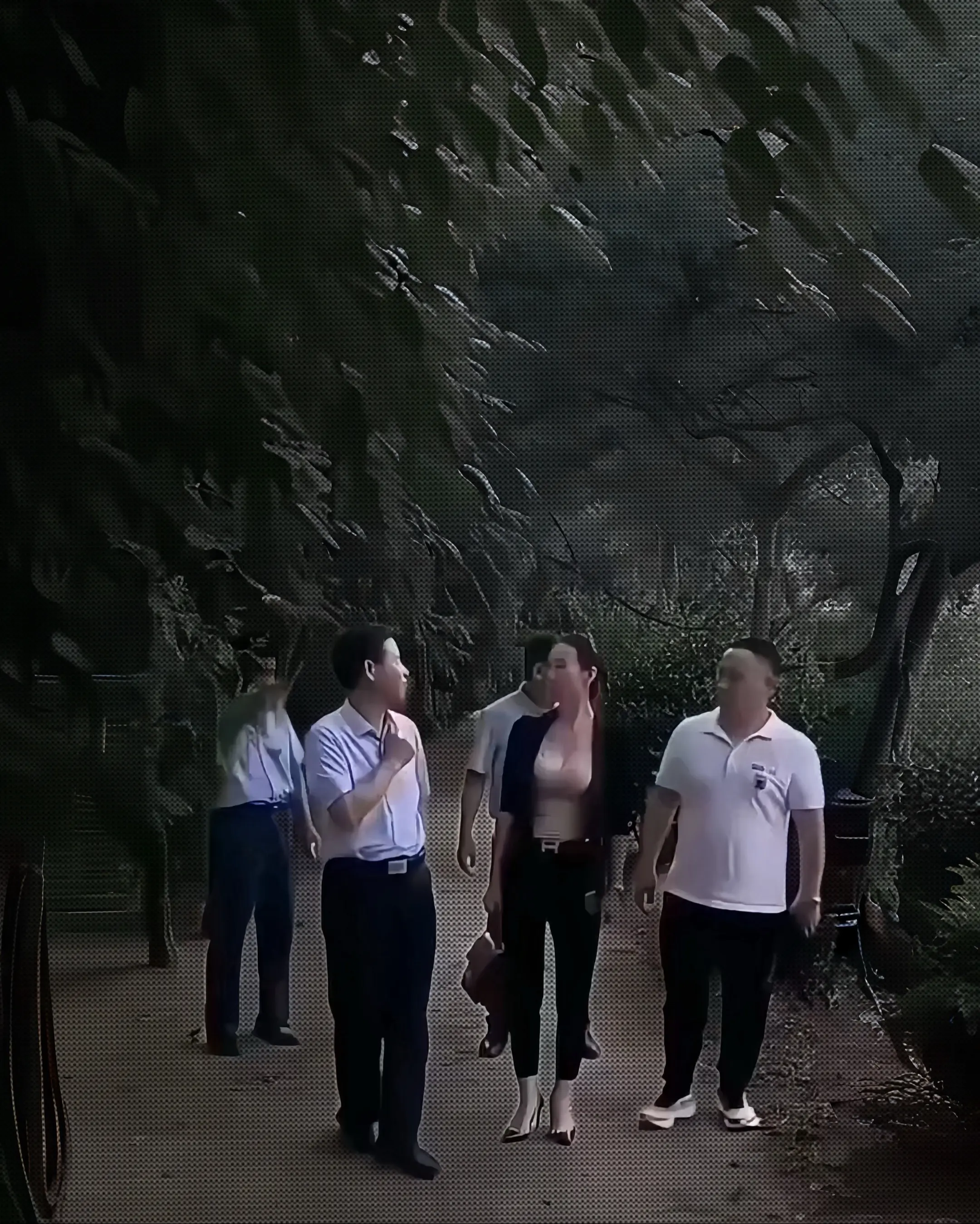 第一次见大领导 好紧张