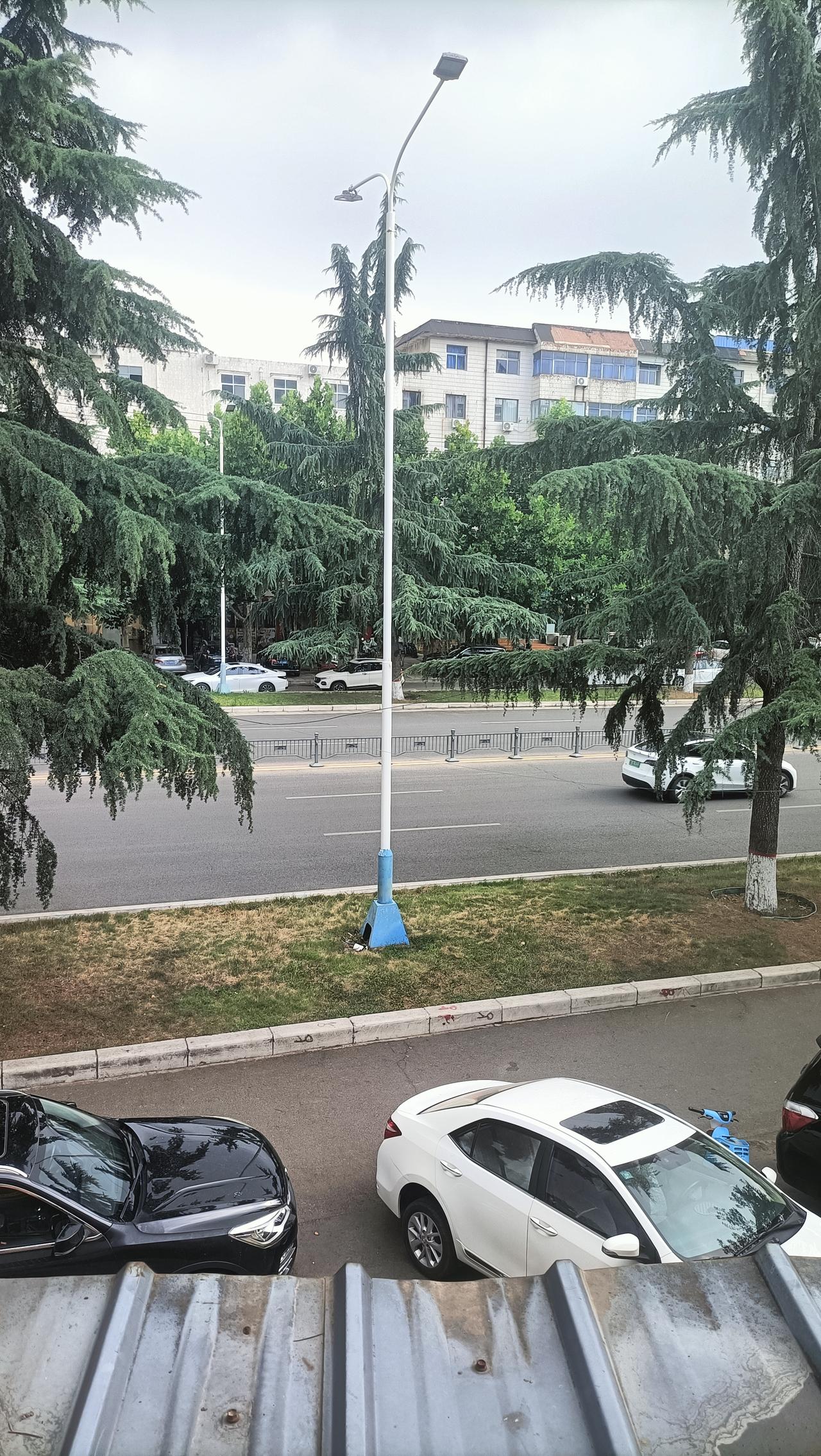 大家都做好心理准备吧，
今天就是7月15日了
 40天超长待机酷暑上线，今年夏天