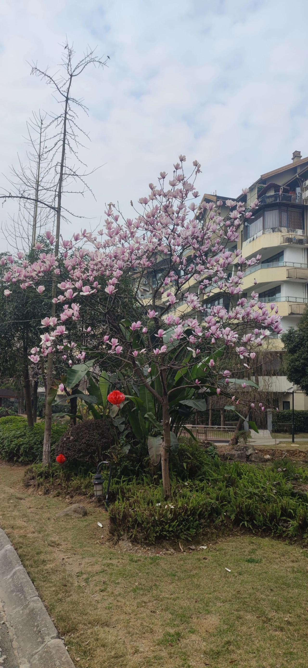 携程财报显示，2025年全年国际OTA平台总预订同比增长约60%，全年服务入境旅