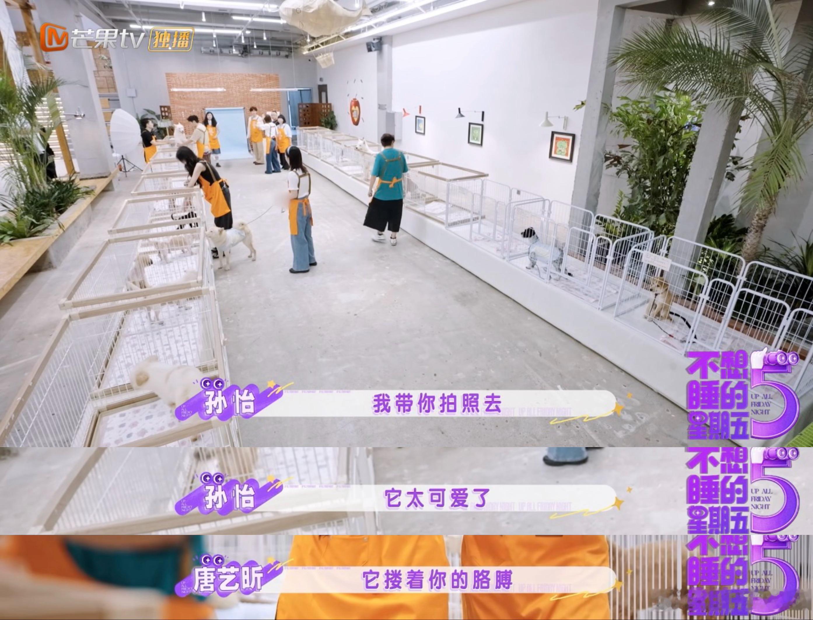 孙怡吸狗体质孙怡私下里本身就养狗，日常经常和宠物贴贴。性格松弛直爽，自带亲和力，