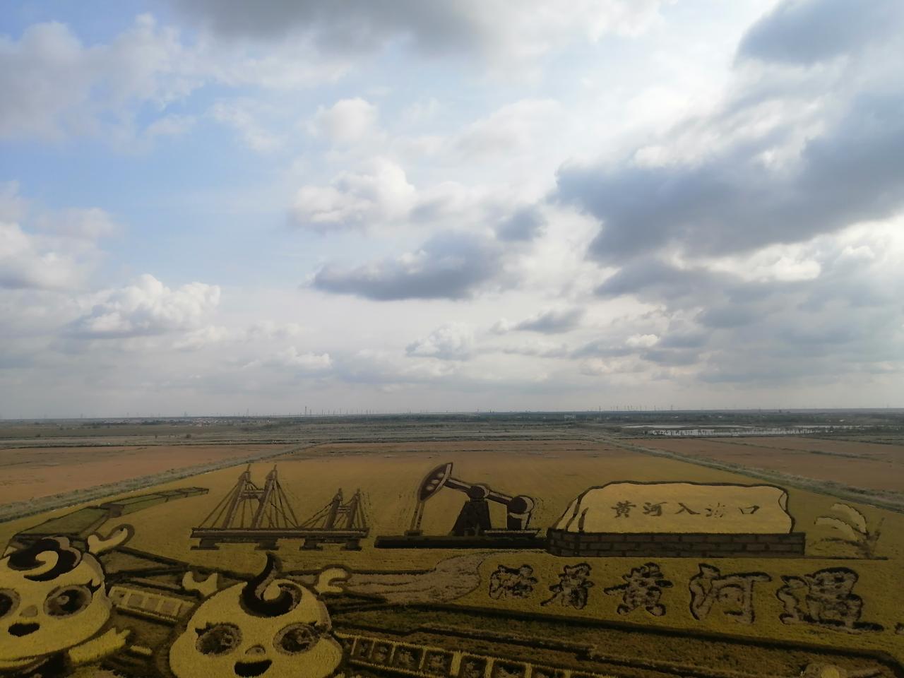 晒晒家乡的自然风光这是位于东营垦利区永安镇的稻田画。从东营沿东八路向北看到路标向