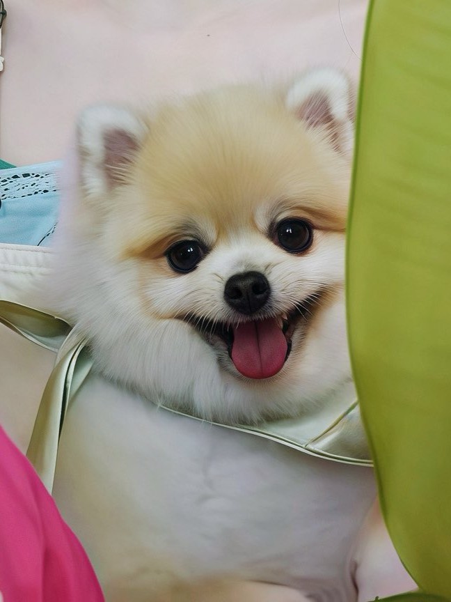 女明星很有镜头感呐 