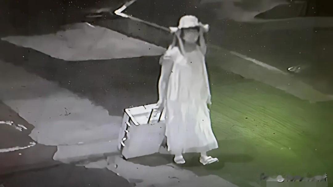 监控拍下诡异一幕！
凶手男扮女装，制造惊天迷局…

一名25岁女孩远赴韩国领取硕