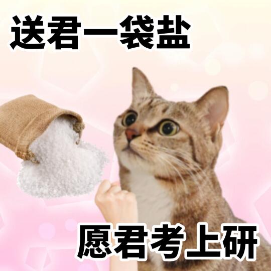 人、、猫希望你心想事成