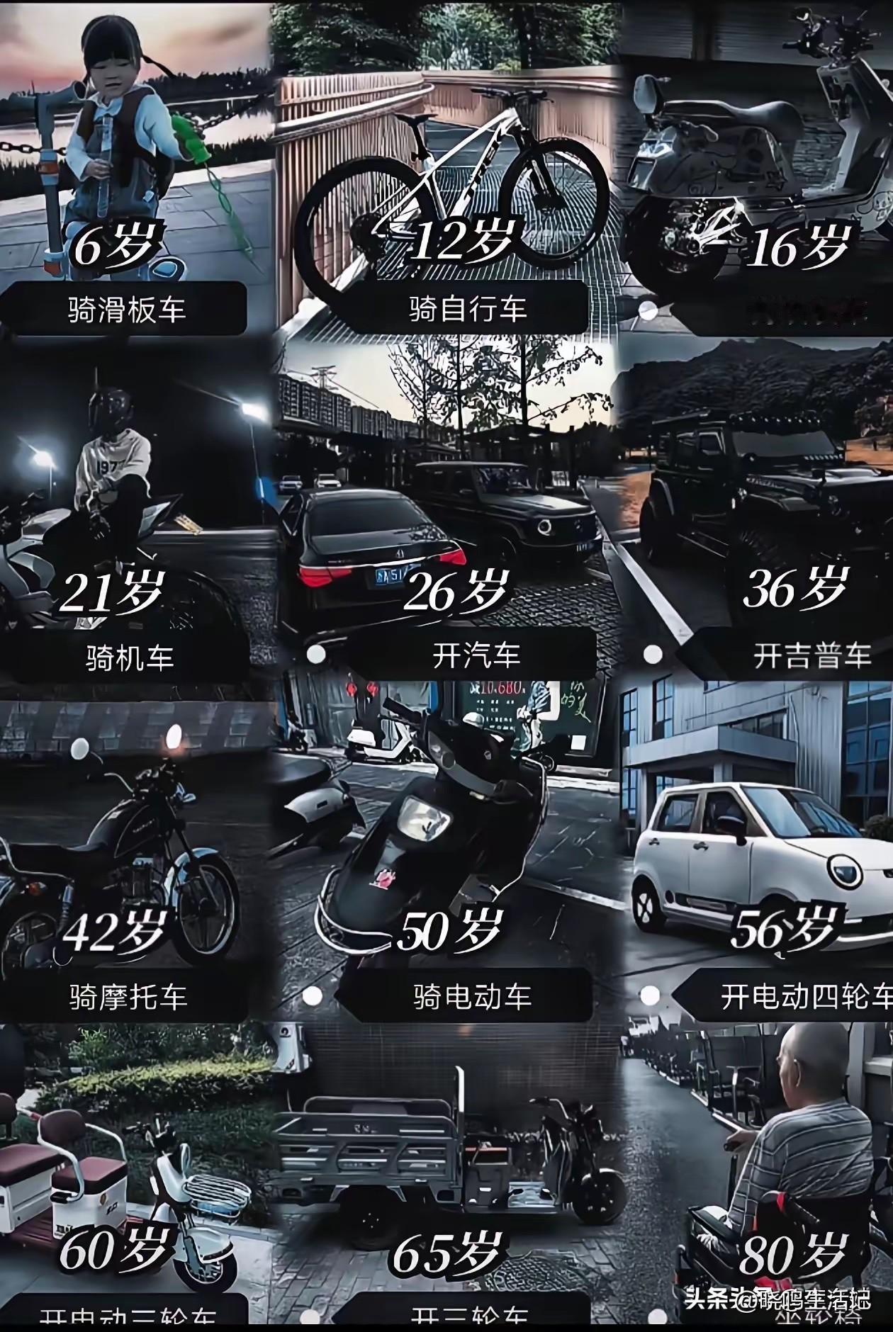 你现在的座驾是什么呢