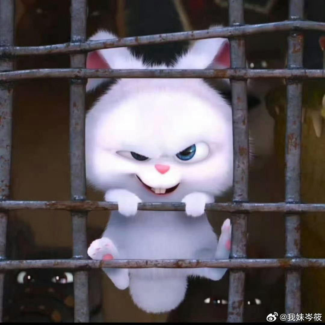 我靠这个也好萌啊