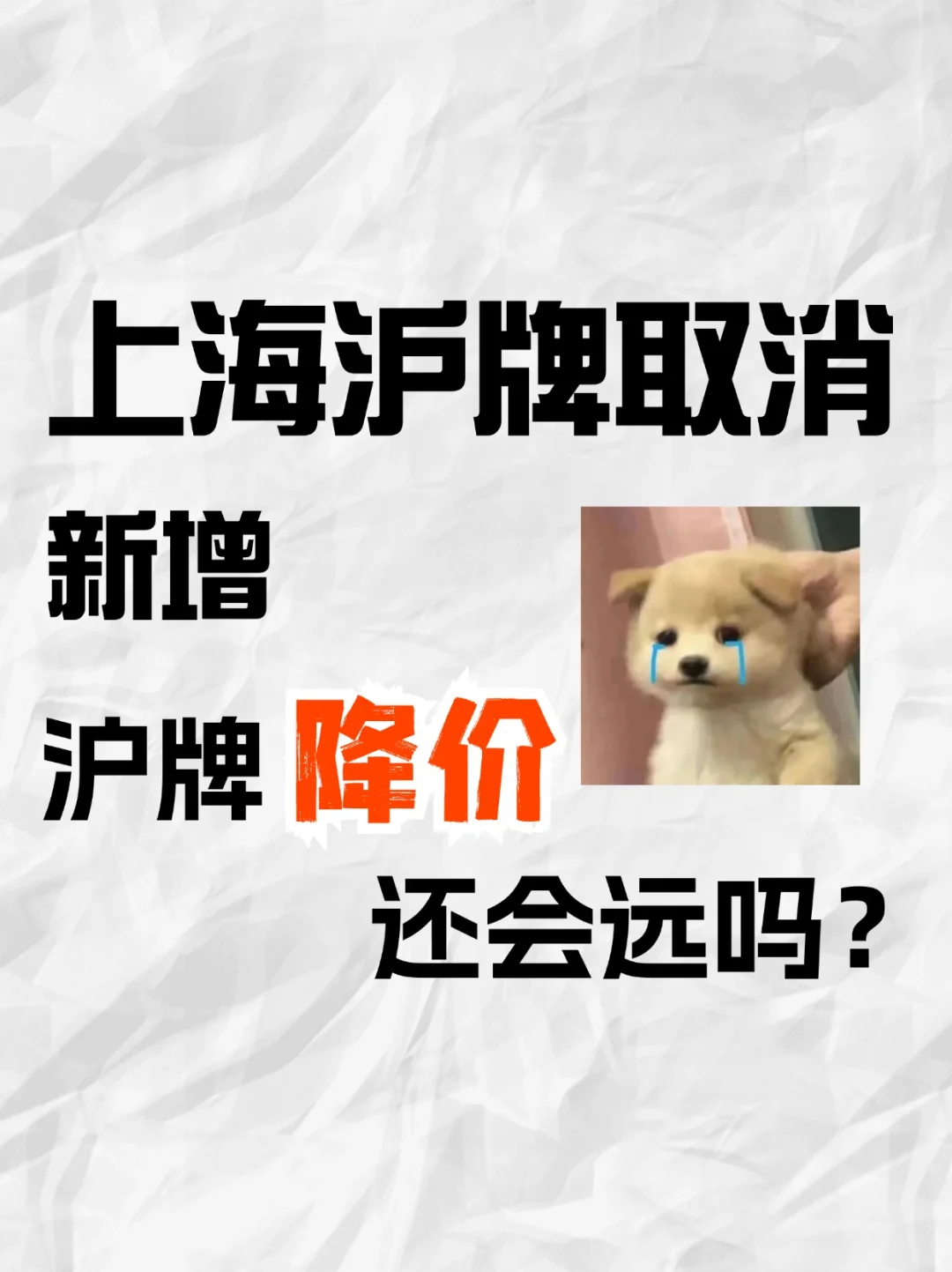 上海沪牌取消新增😭沪牌降价还会远吗⁉️