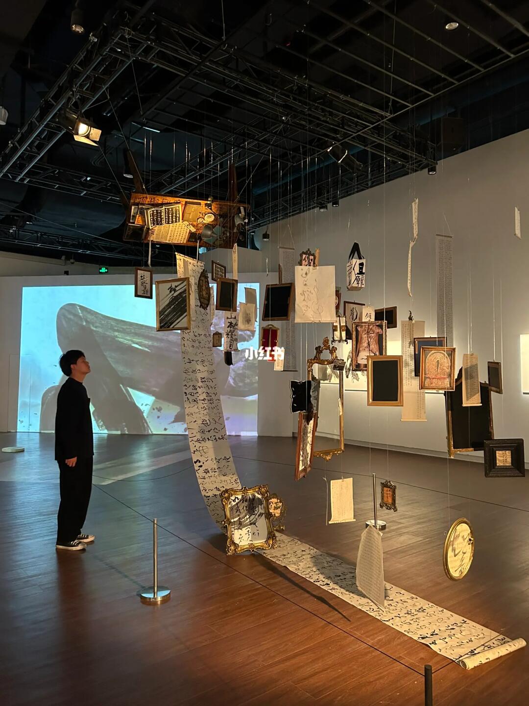 苏州免费新展｜光影与书香的国风盛宴