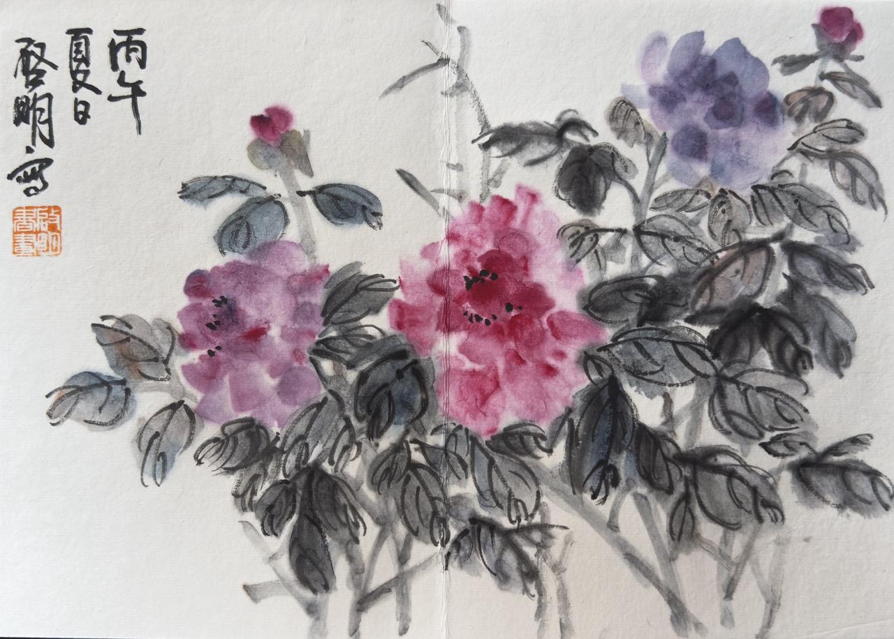 牡丹图册（五）中国画牡丹 写意花鸟 牡丹作品欣赏 国画牡丹花开富贵