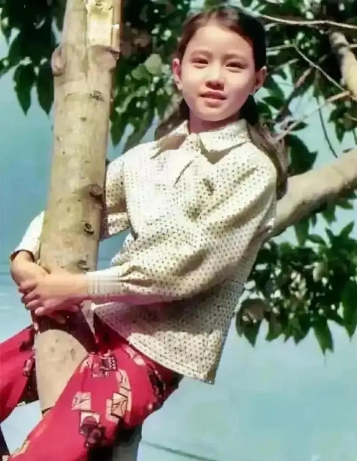 周海媚说自己小时候喜欢爬树，还真被我找到了一张爬树的图。