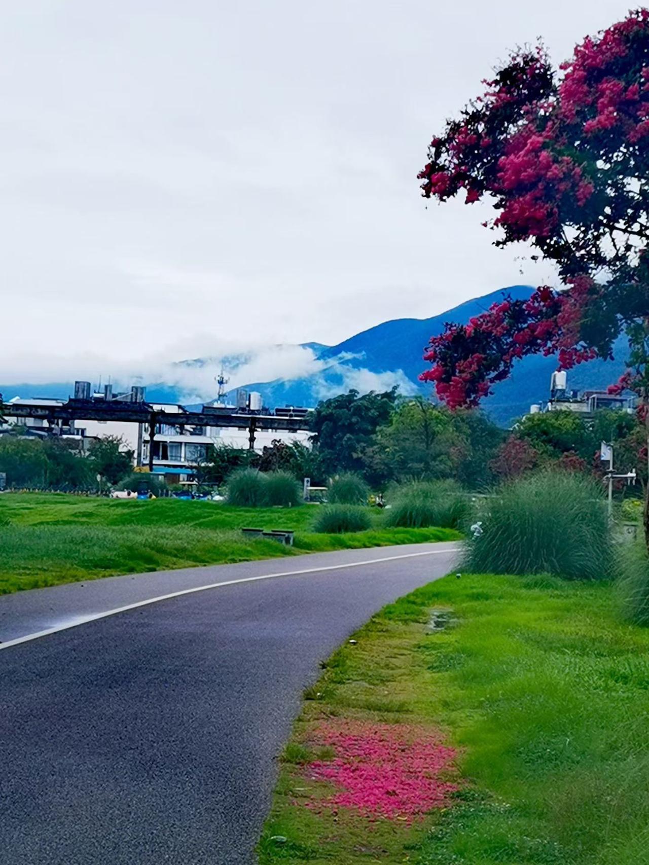 大理生态廊道美景
分享美景风光随手拍