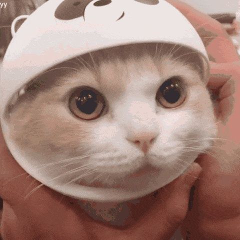 #余承东说自己是i人##终于搞懂i人和e人的区别# 余承东的自述让我明白了i人和