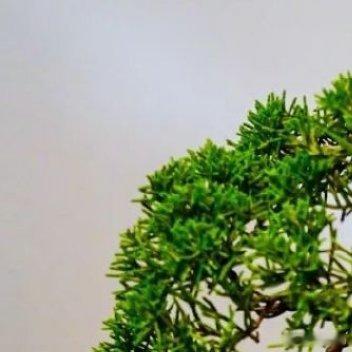 🍯 | zασαи温柔/有趣/不必太激烈三餐/四季/不必太匆忙💓 દ ᵕ̈ 