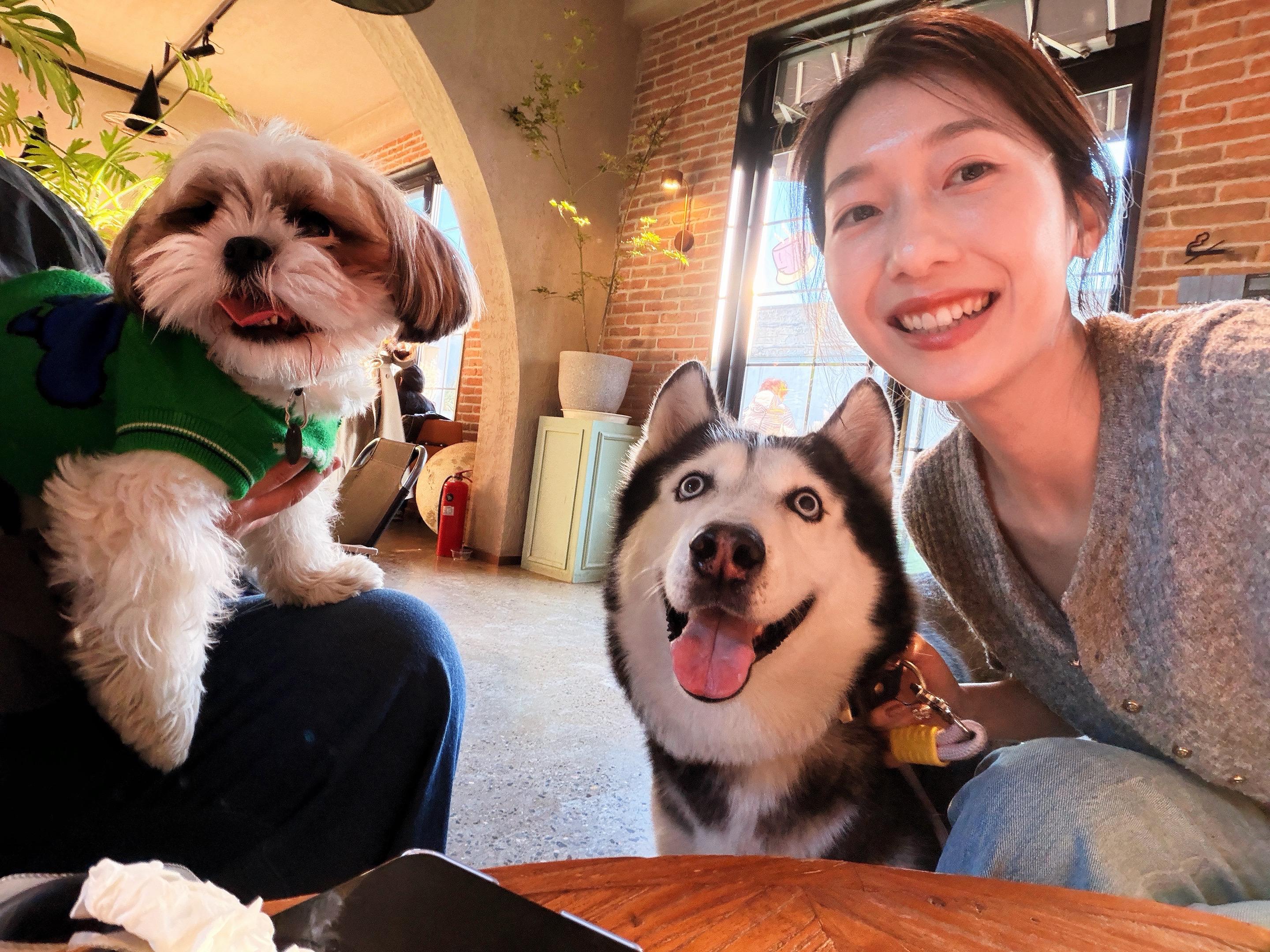 每个人胸口都有一个洞，我用狗狗来填满。