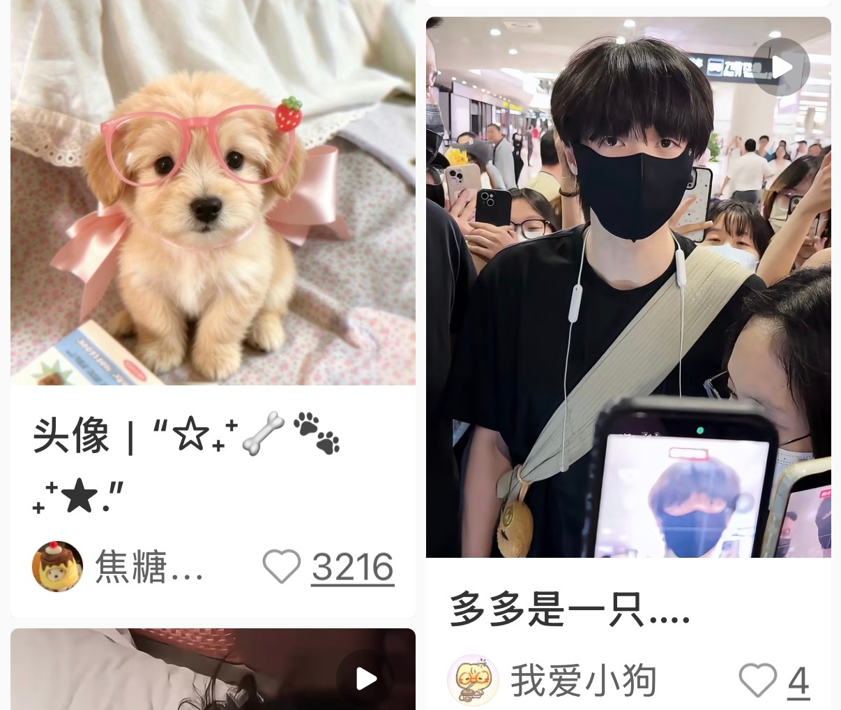 狗狗狗狗狗狗狗狗 
