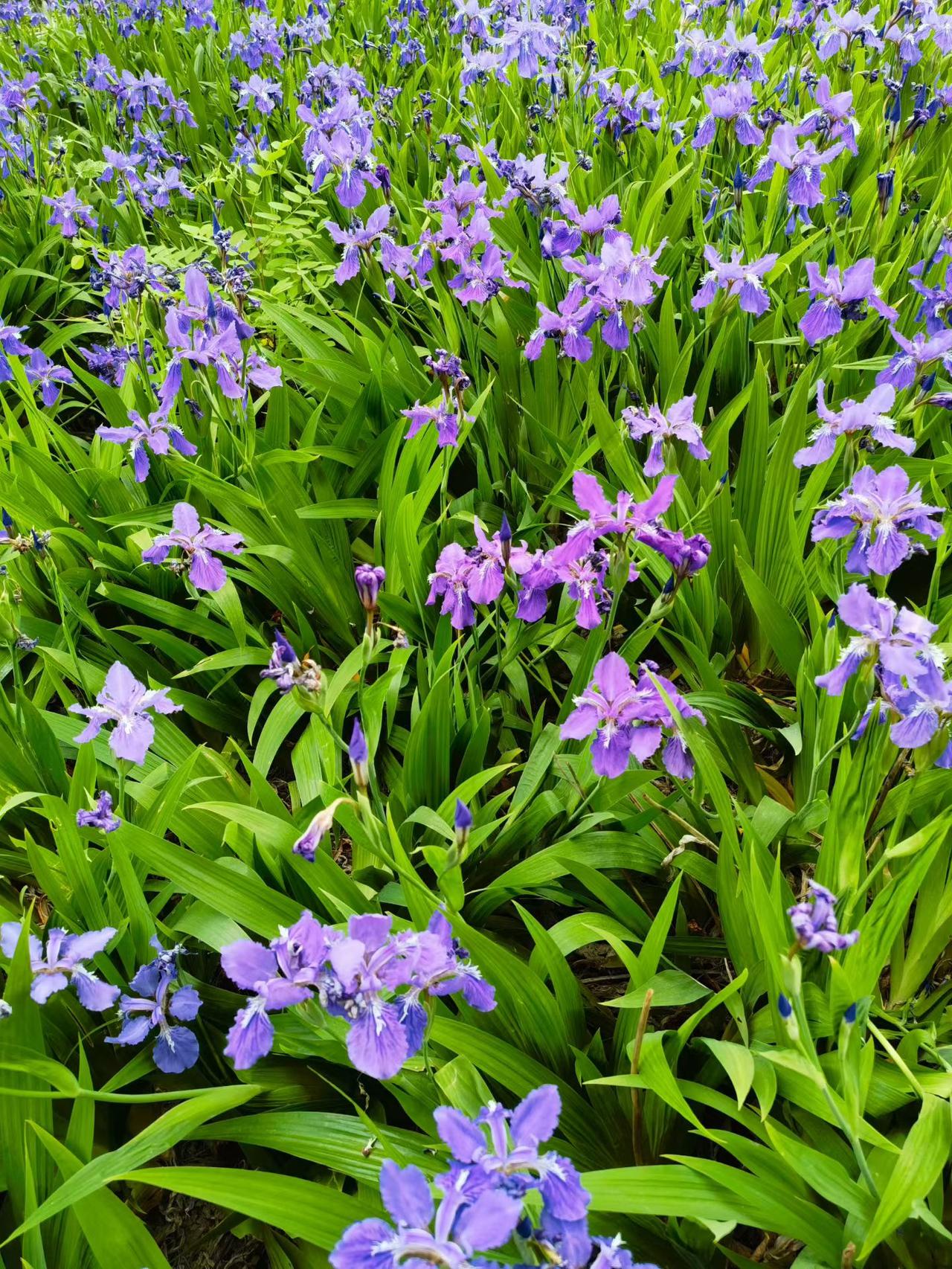 分享一下你随手拍下的照片