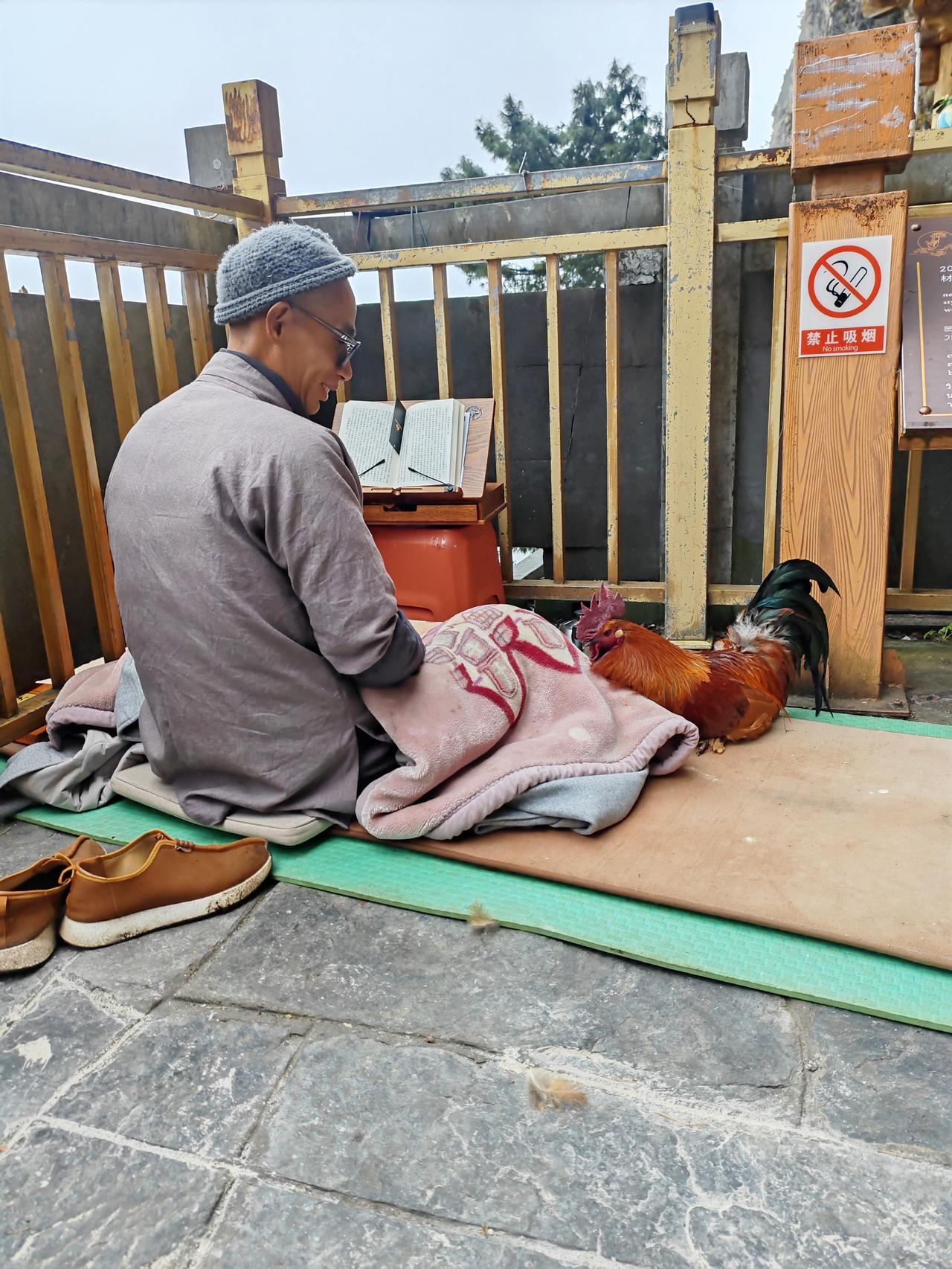 慈悲为怀，普渡众生。  心灵之旅 温暖传递 正能量 万物有灵