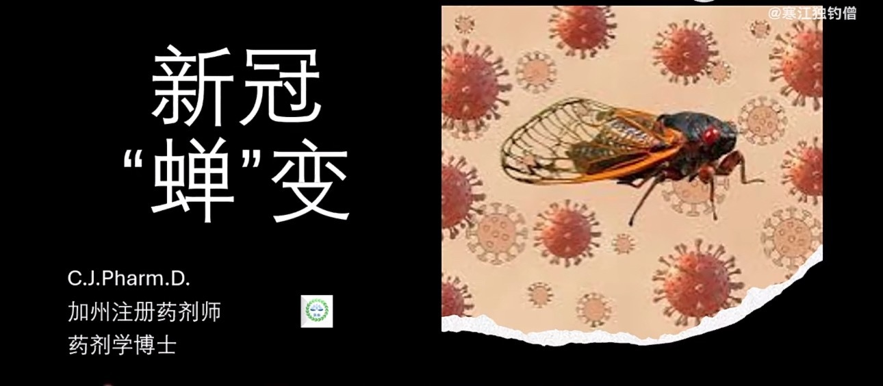 新冠病毒出现蝉变季鸟儿变宿主啦？ 