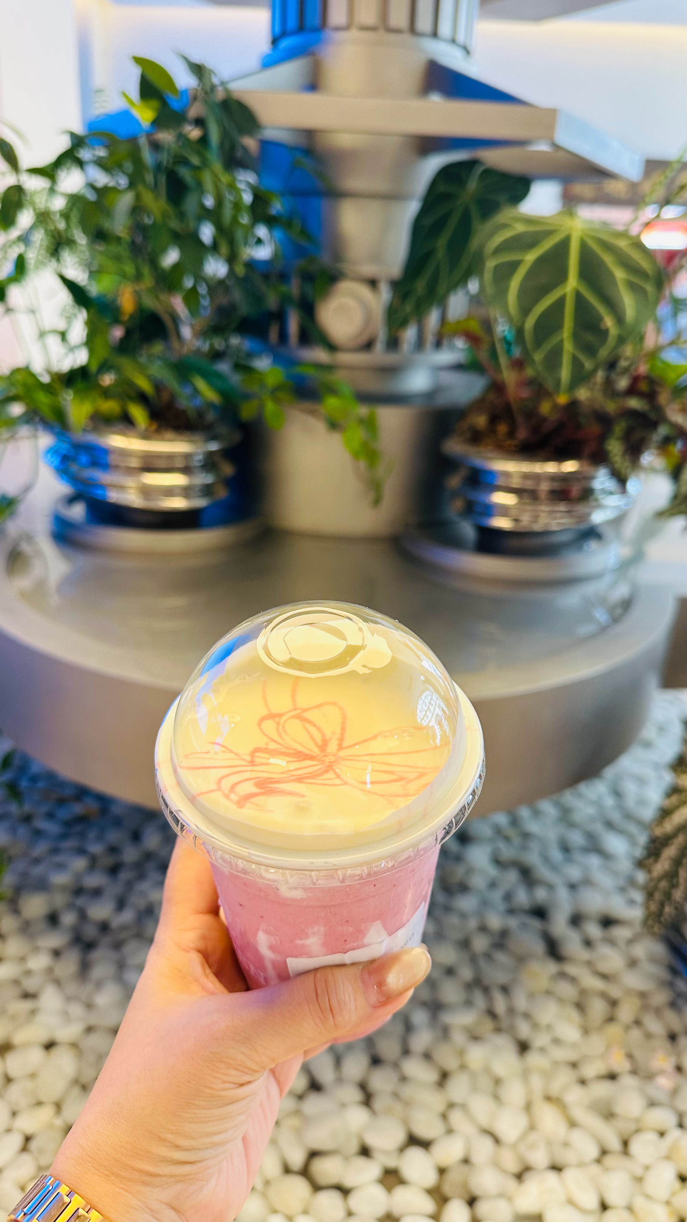 终于终于买到礼成了，这次回嘉圆满了。✨任嘉伦 ✨gcjlren ✨任嘉伦个人艺术