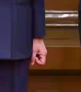 郑握手时正式照片，左手姿势，半握着，显然内心很紧张，从乘车前往时，就能看出来了，