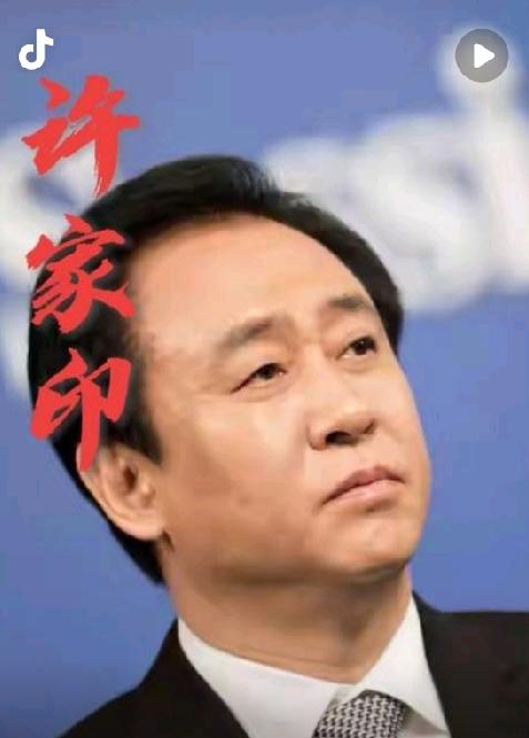 许家印和前妻丁玉梅共育两个儿子，履历都相当不简单！
​大儿子许智健：他是清华大学