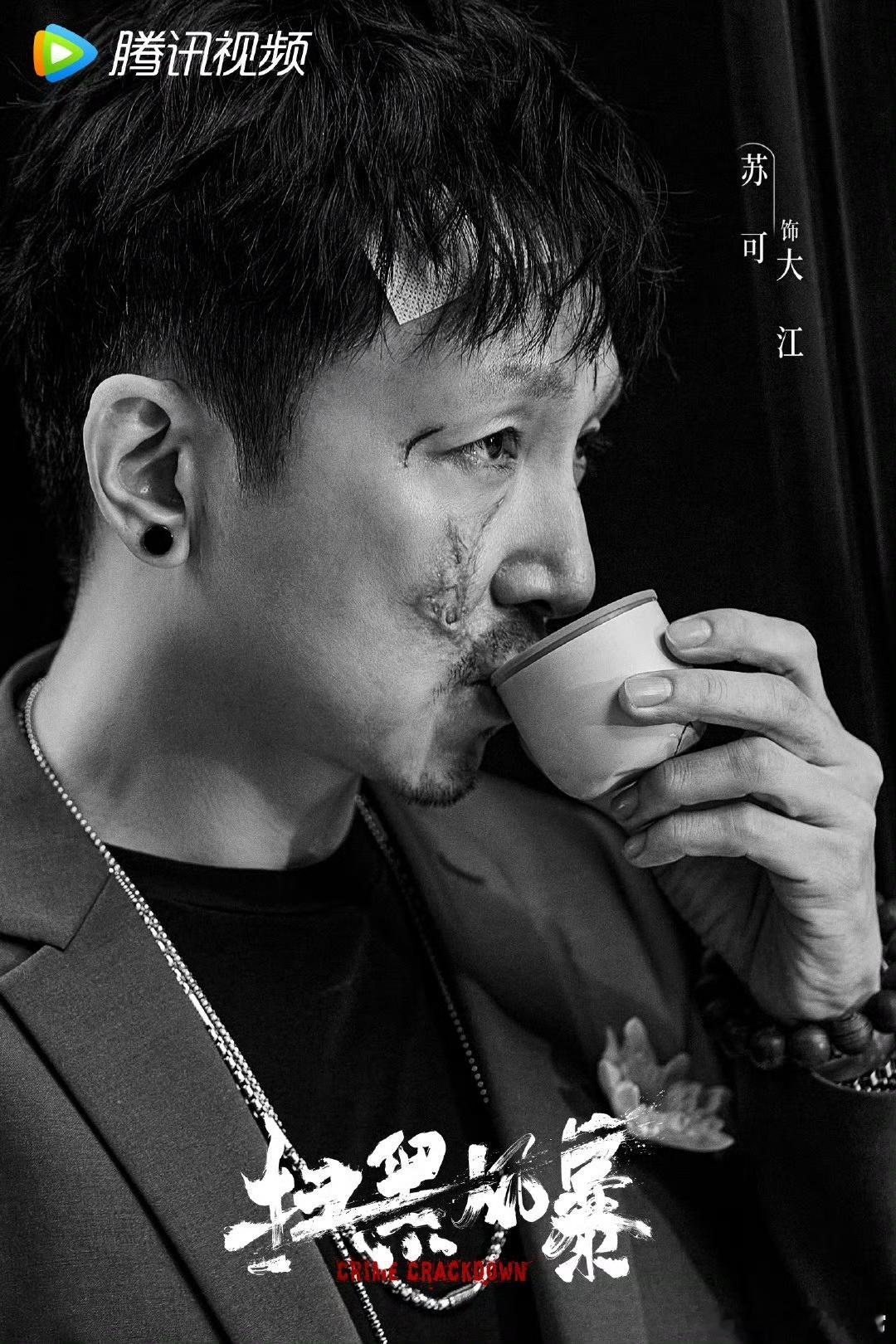 一部剧集齐叔圈四大疯批 扫黑风暴班底再出悬疑力作，苏可王千源佟大为彭冠英同台飙戏