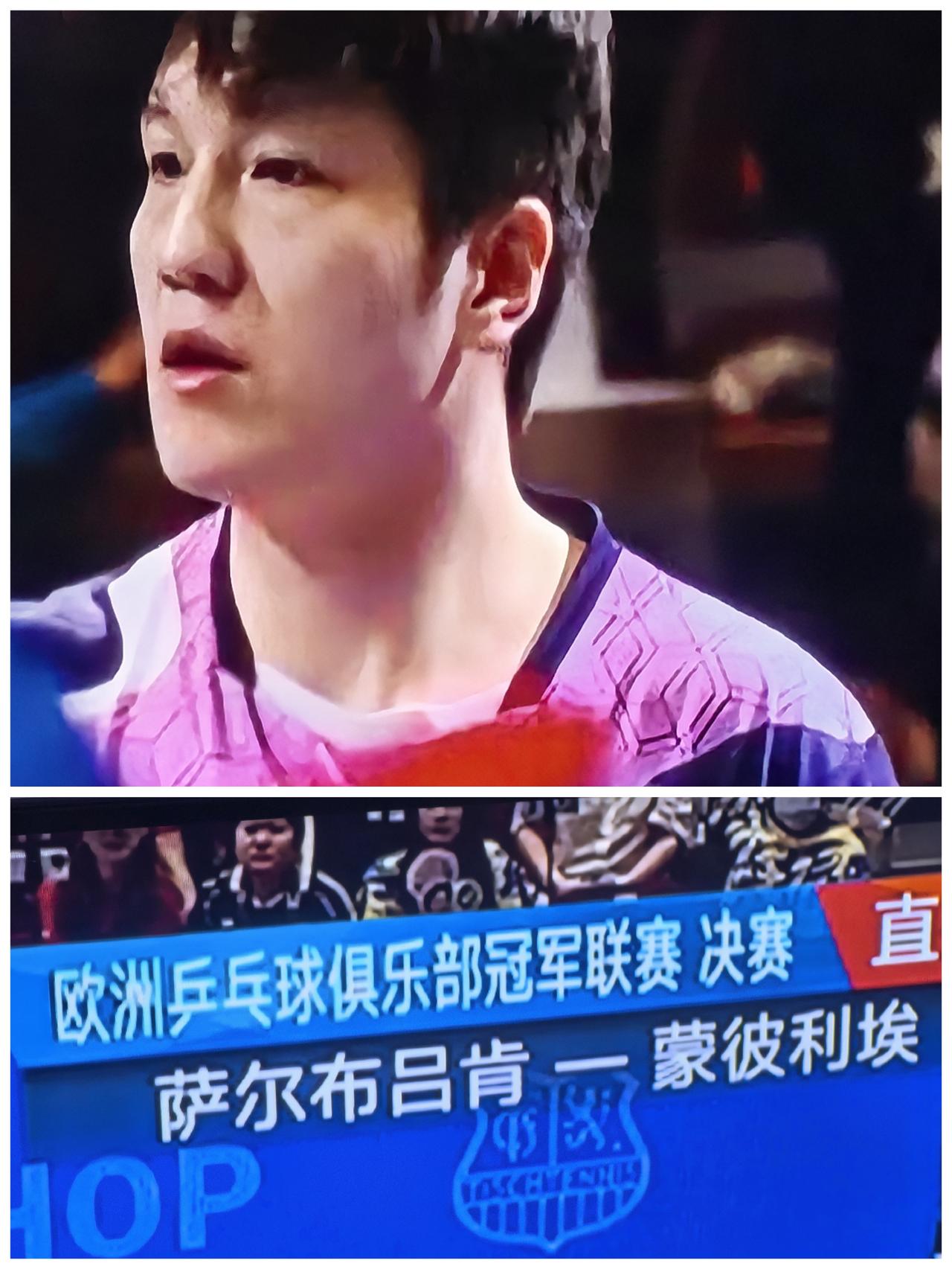 为了樊振东，我给莫雷加德加油。

欧洲乒乓球俱乐部冠军联赛决赛。电视上看到了，代