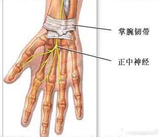 手腕疼痛 【腕管综合征康复】手掌麻木不舒服？手部没有力气？今天我们一起来聊聊这个
