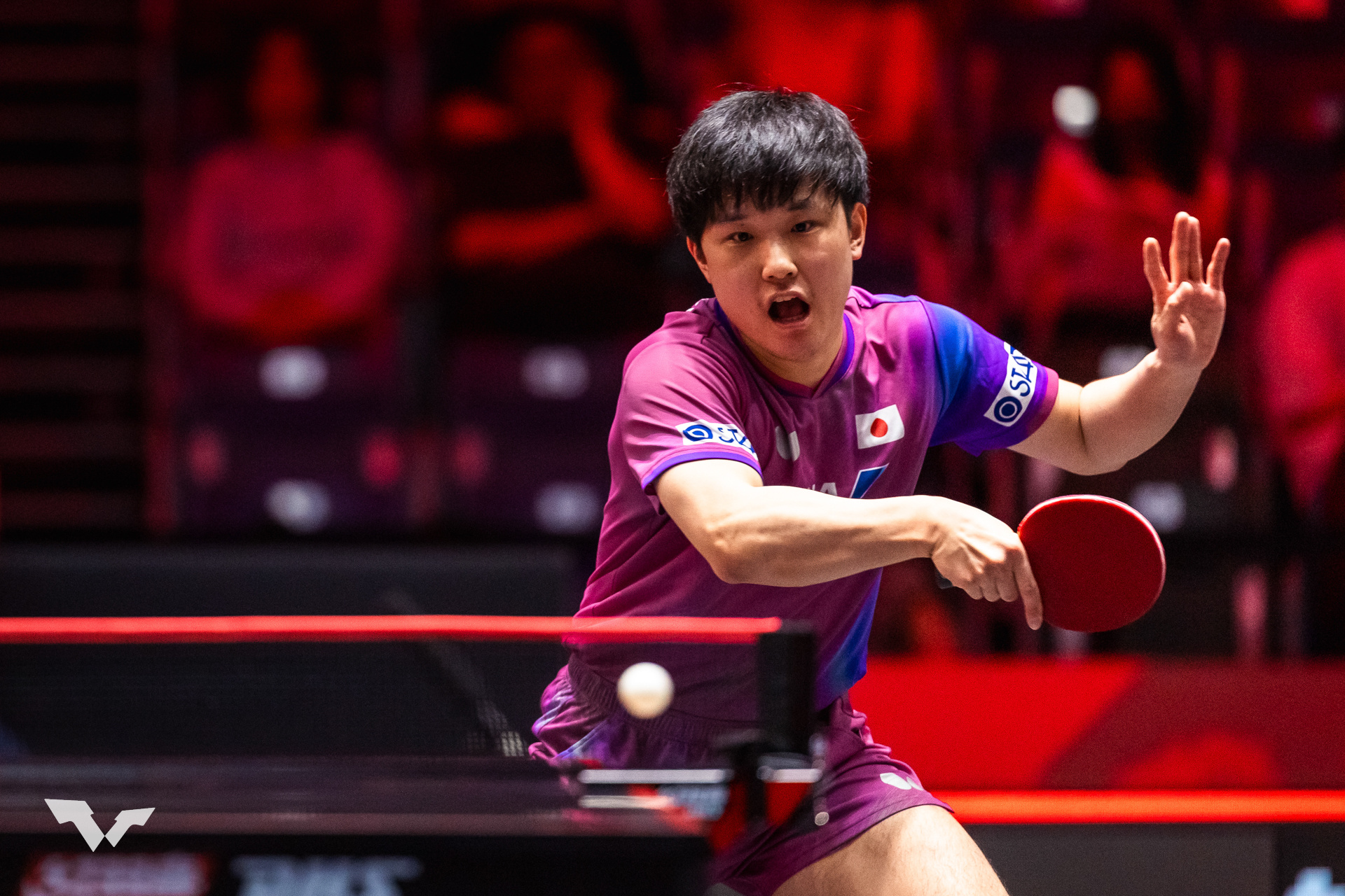 张本智和张本智和wtt新加坡大满贯2026 男单R32图集cr.wtt 