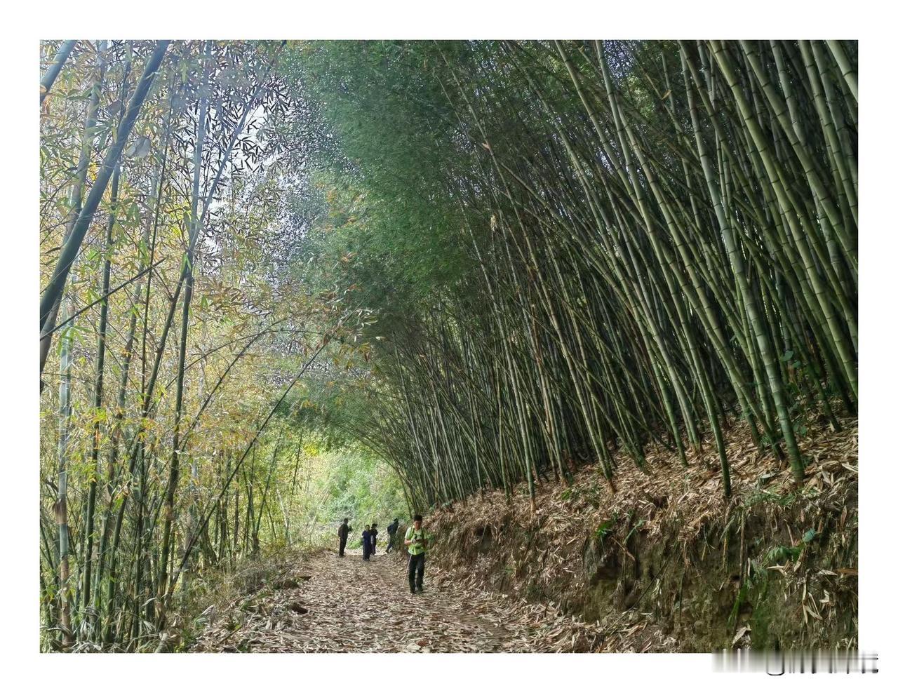 野外休闲游

野外休闲游是人们假日休闲的绝佳之选。山川、河流、小溪，皆是大自然的