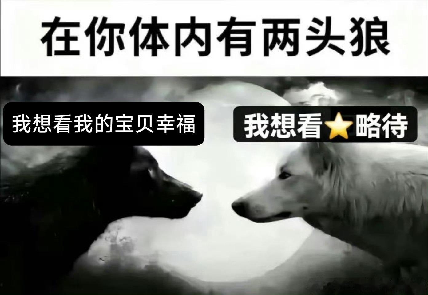 我每天： 