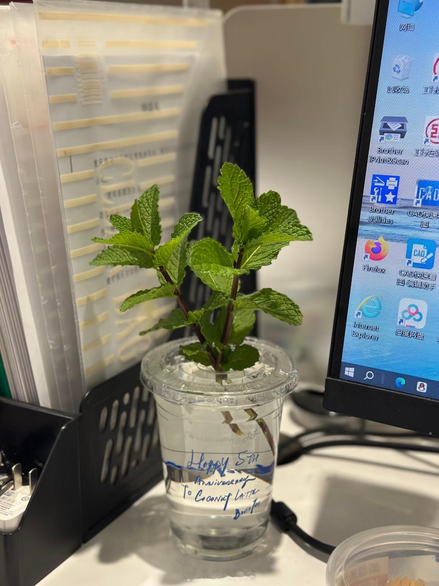 上班立什么人设最吃香我感觉上班还要立啥人设啊？做好手头的工作，稍微勤劳一点和同事