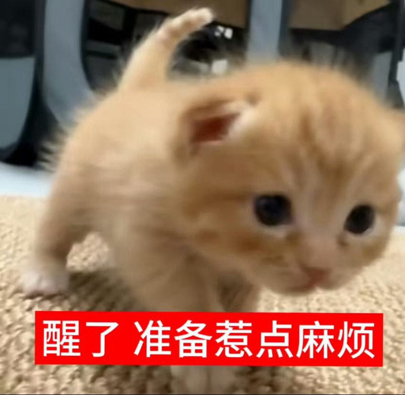 政咪儿童照 ​​​