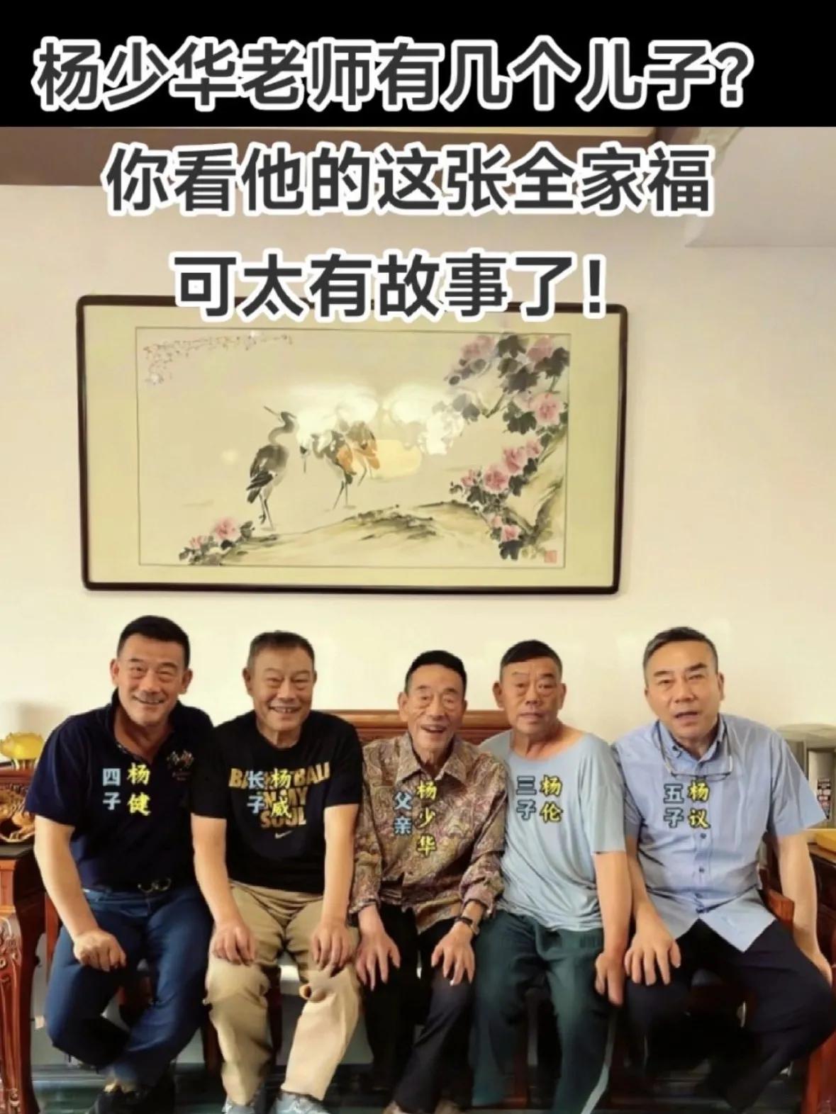 杨少华遗产“四个亿”，四个儿子一人一亿。

杨少华去世后，他的几个儿子陷入了巨大