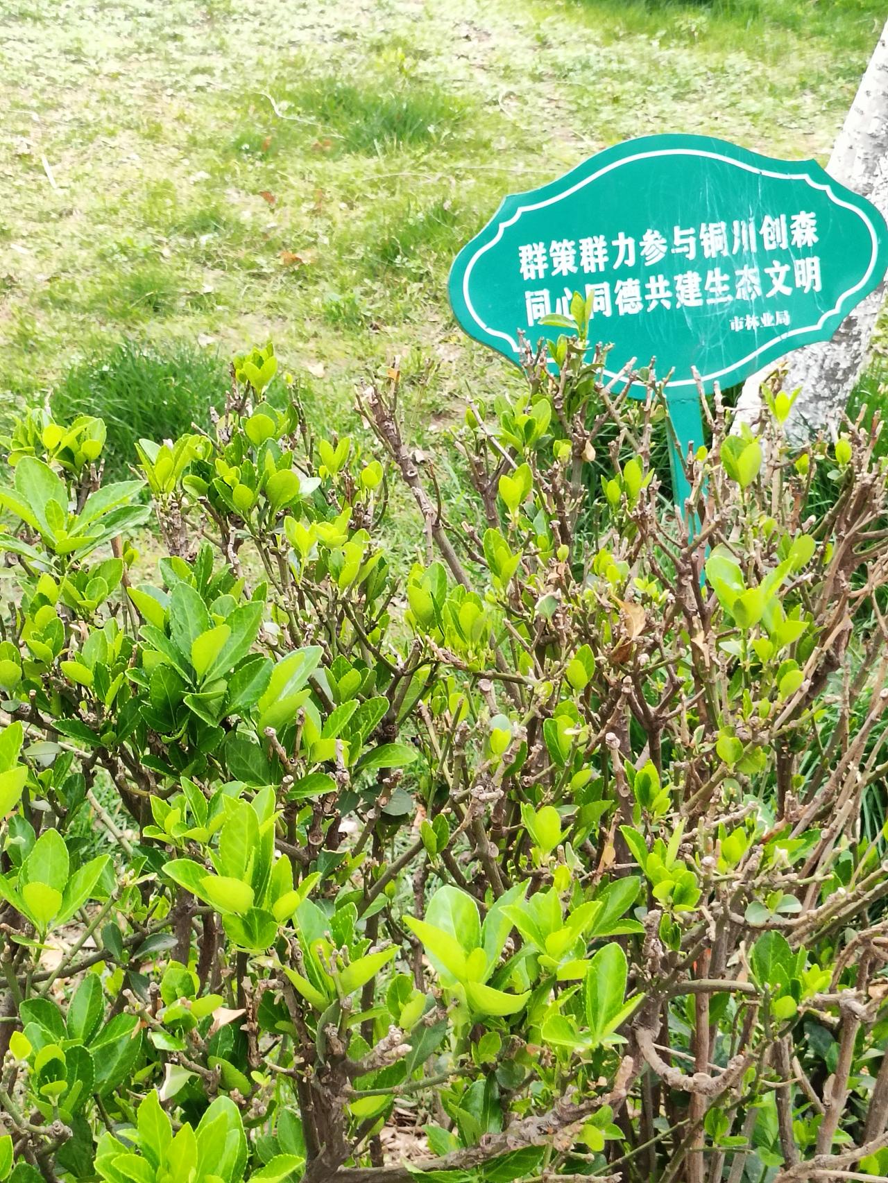 心若放宽，时时皆是春天；事若看淡，处处皆是晴天
 
人这一辈子，说白了就是活个心