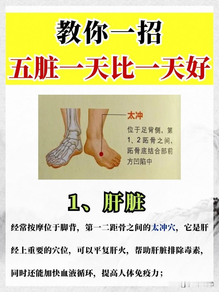 五脏都有健康“开关”，每天5分钟，让你的五脏一天比一天好！
#中医##养生#