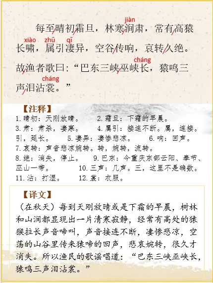 八上语文 | 文言文解析 郦道元《三峡》